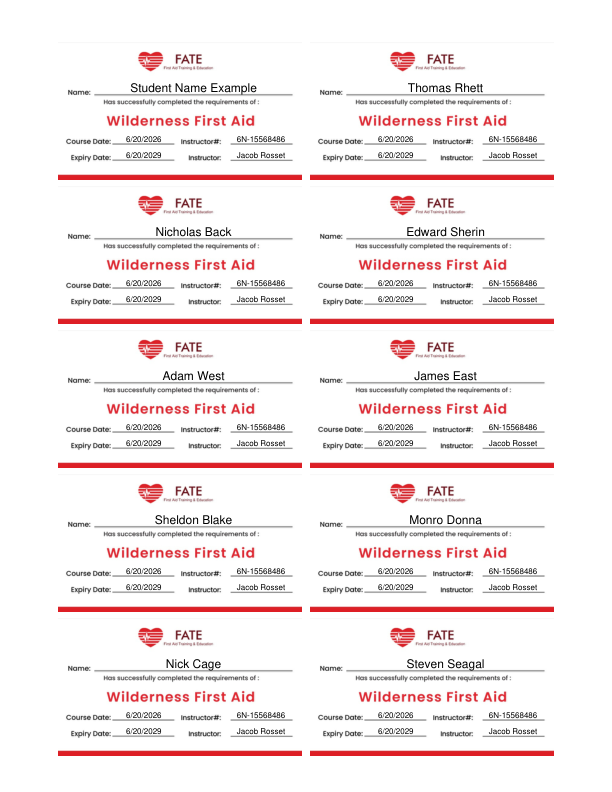 Completed Wilderness First Aid card sheet preview